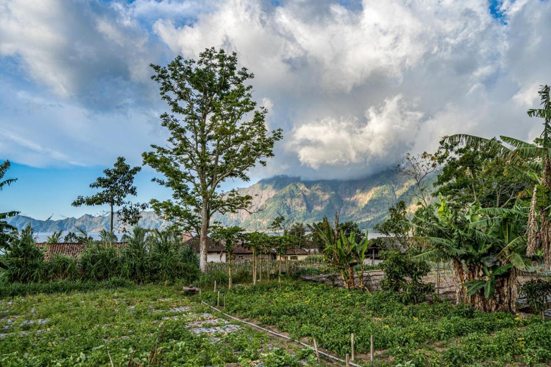 Pondok Manoka Kintamani  Luaran gambar