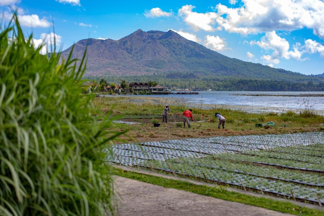 Pondok Manoka Kintamani  Luaran gambar