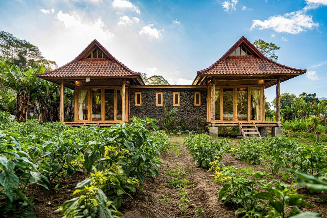 Pondok Manoka Kintamani  Luaran gambar