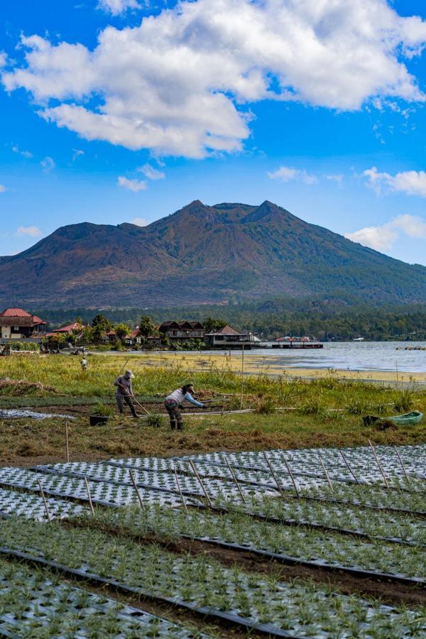 Pondok Manoka Kintamani  Luaran gambar