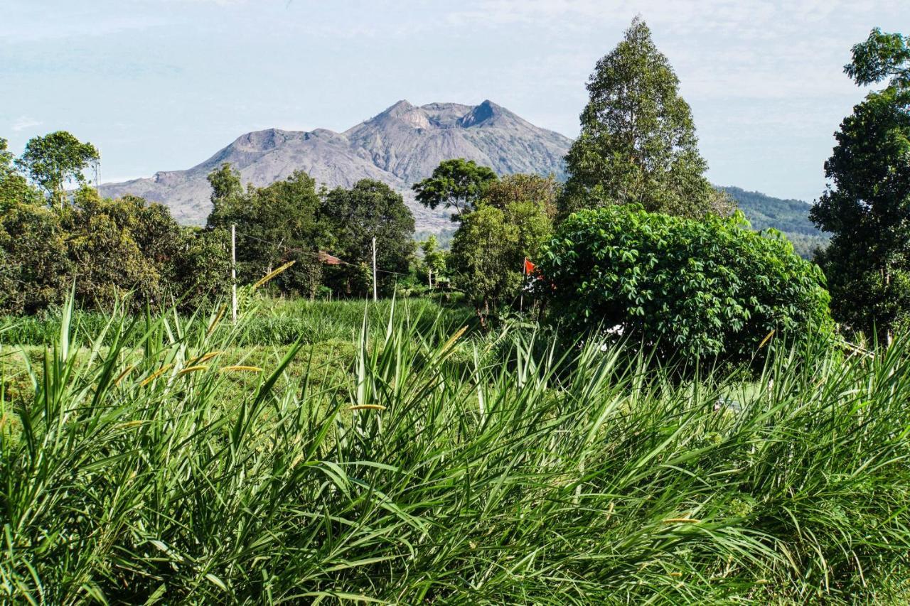 Pondok Manoka Kintamani  Luaran gambar