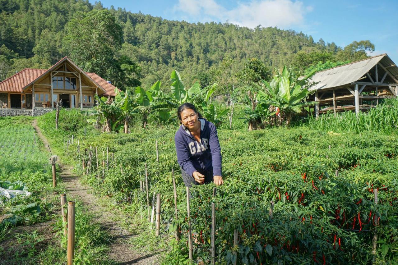 Pondok Manoka Kintamani  Luaran gambar